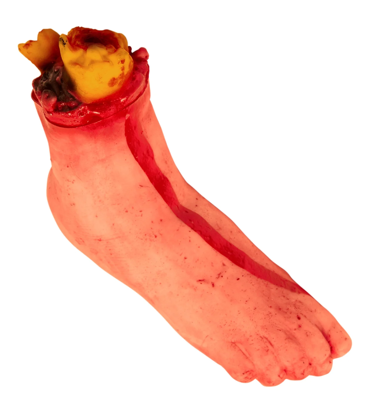 Productafbeelding 1