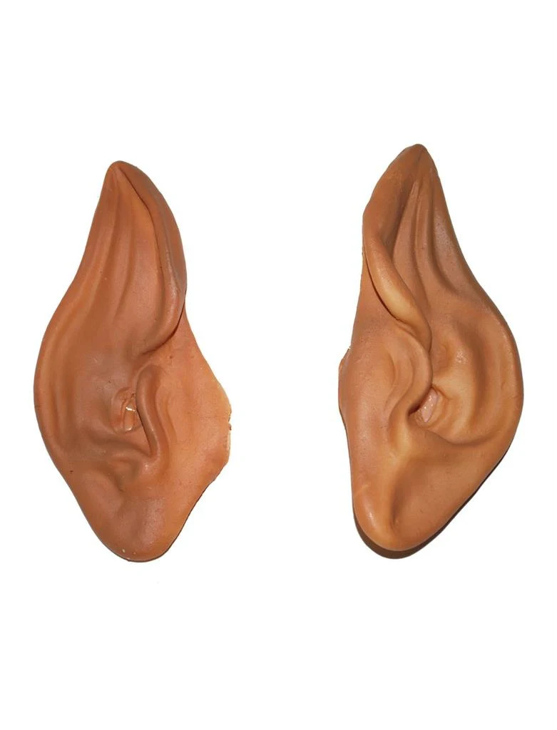 Miniatuur 1