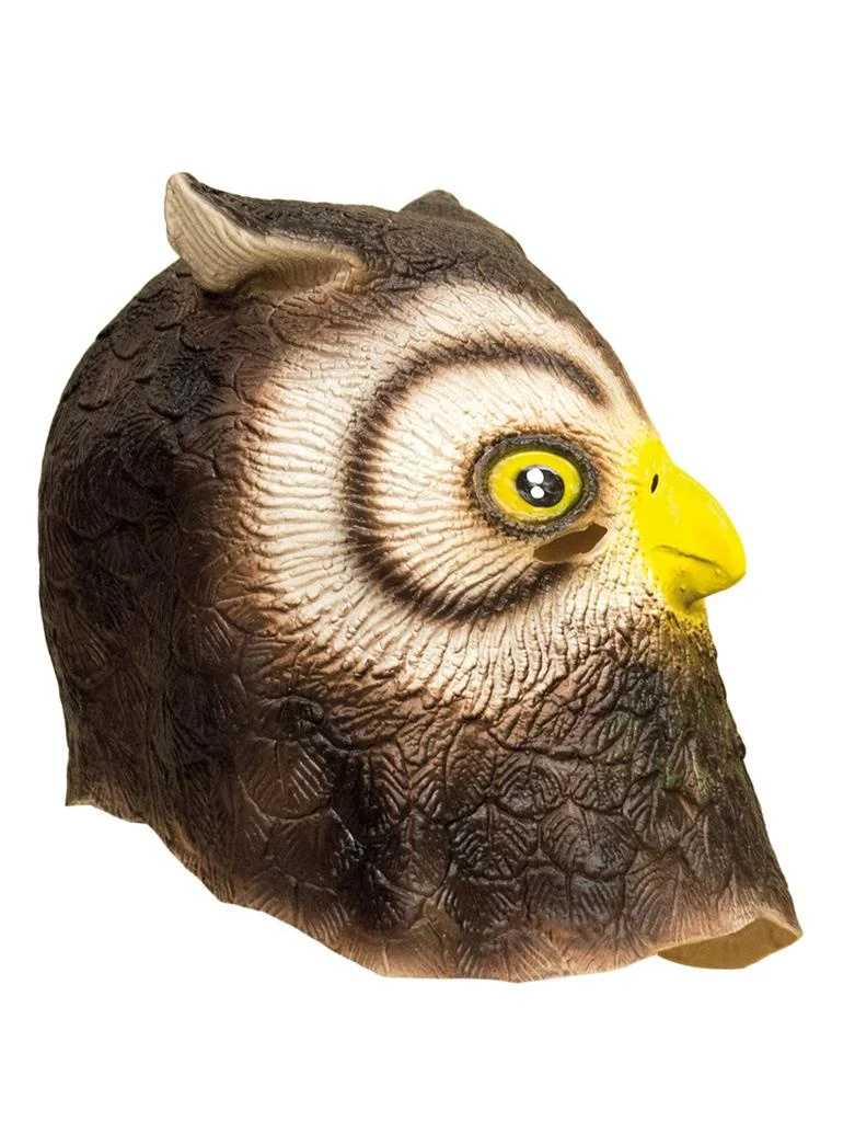 Miniatuur 1